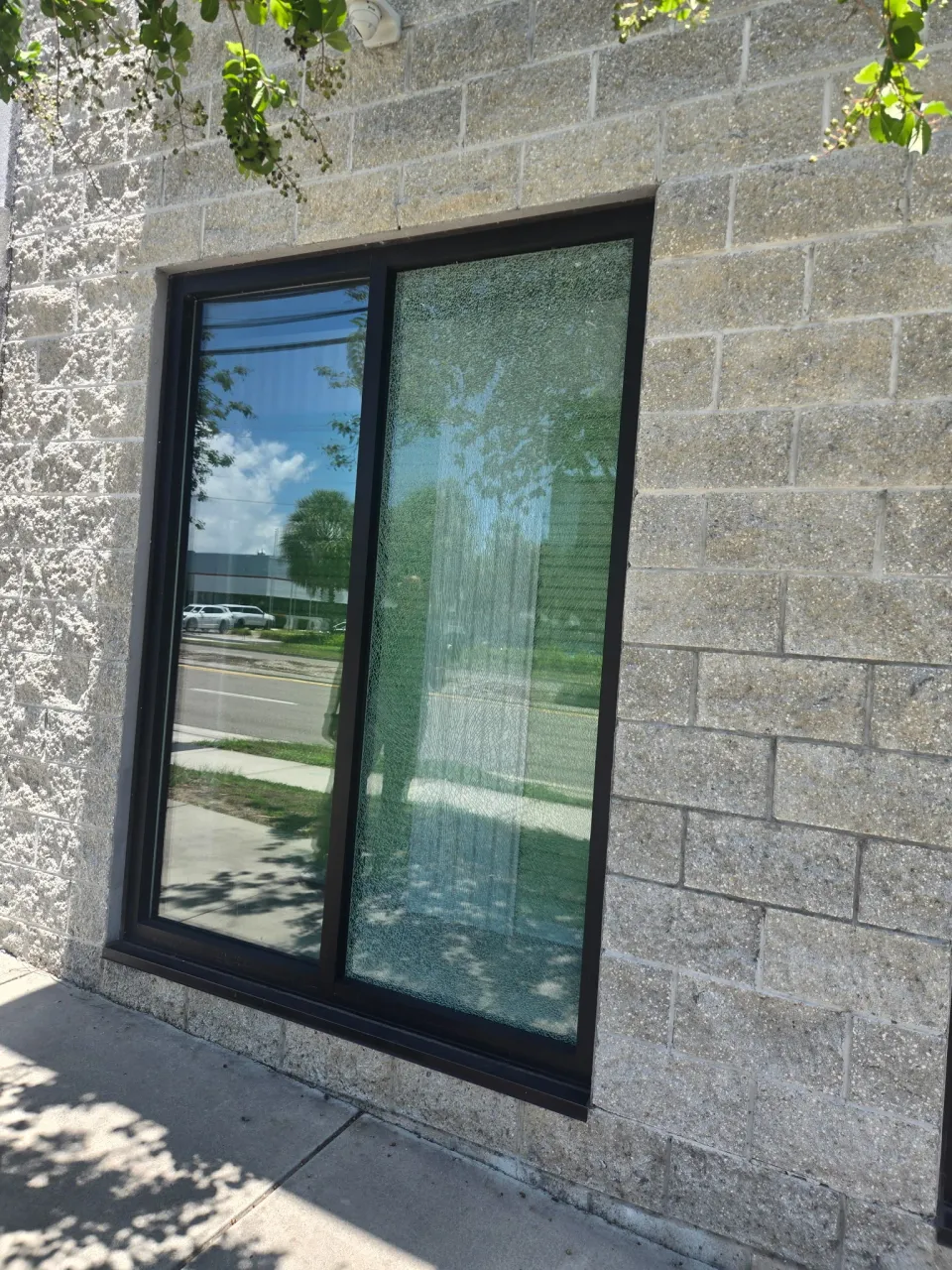 Shattered glass within a black commercial window frame